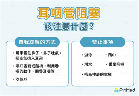 耳貼是什麼|為何頭暈、脹氣都要按耳朵？帶你認識中醫「耳穴貼」是什麼！抑。